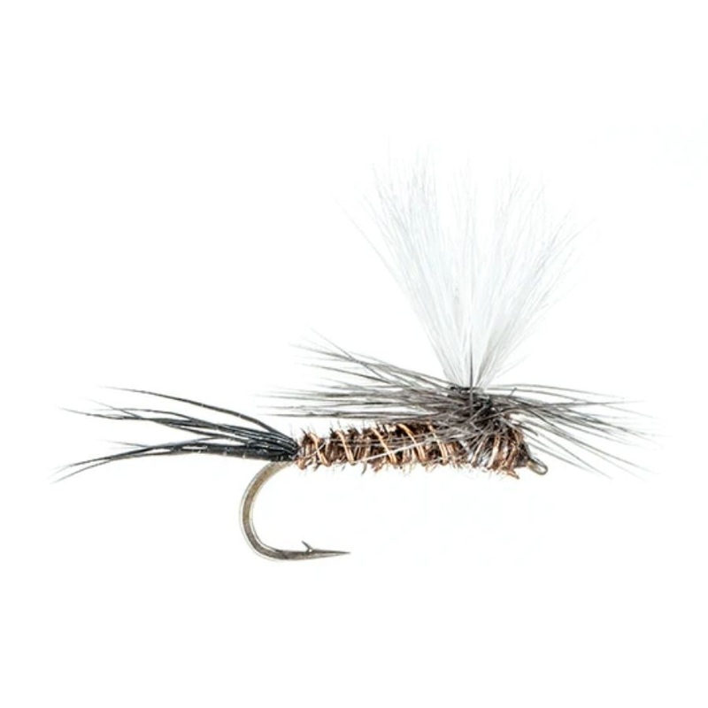 Parachute Pheasant Tail – Size 14