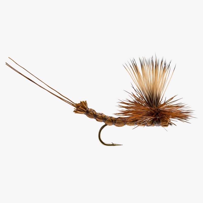 Paradrake – Brown Drake – Size 10