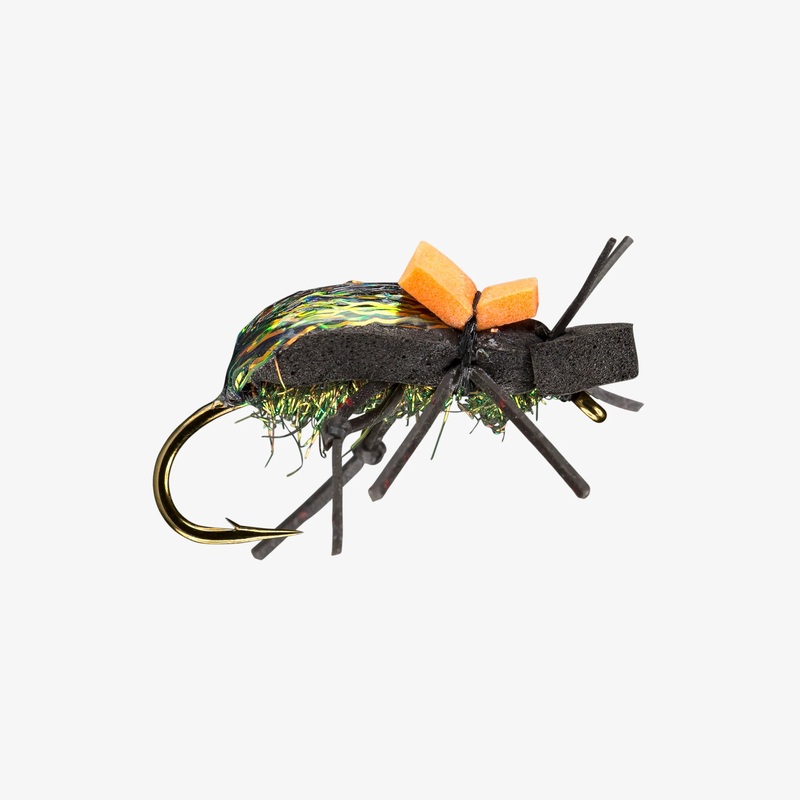 Rio’s Ground Beetle – Size 10|Size 10