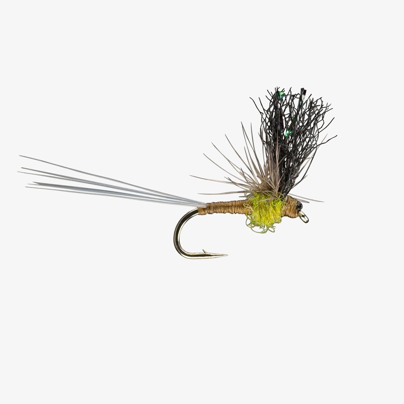 Split Flag – BWO – Size 18|Size 18