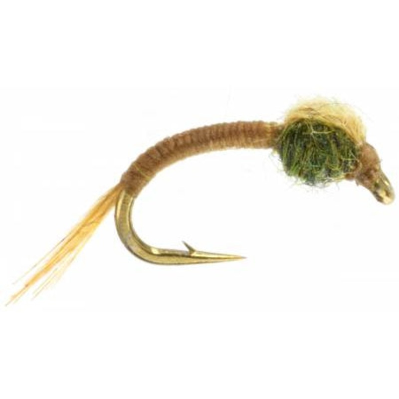 WD 40 – Olive – Size 18