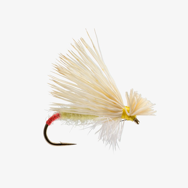Yellow Sally Hairwing – Size 14
