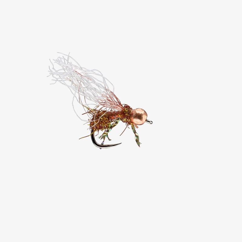 Anty Raid – TB Cinnamon – Size 16