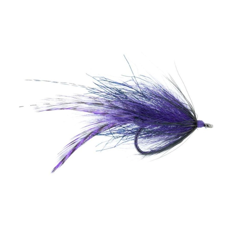 Fit for a King – Black/Purple – Size 2/0