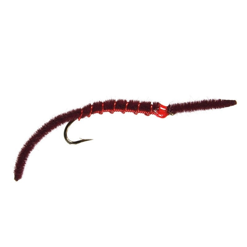 Hybrid Steely – Wine/Red – Size 8