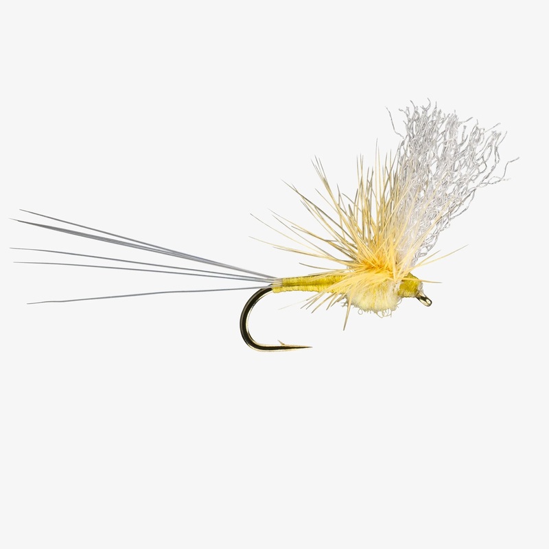 Split Flag – PMD – Size 16|Size 16