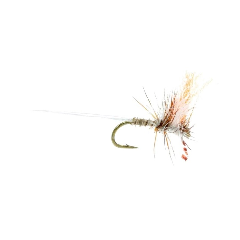 Candy Shop Callibaetis – Size 16