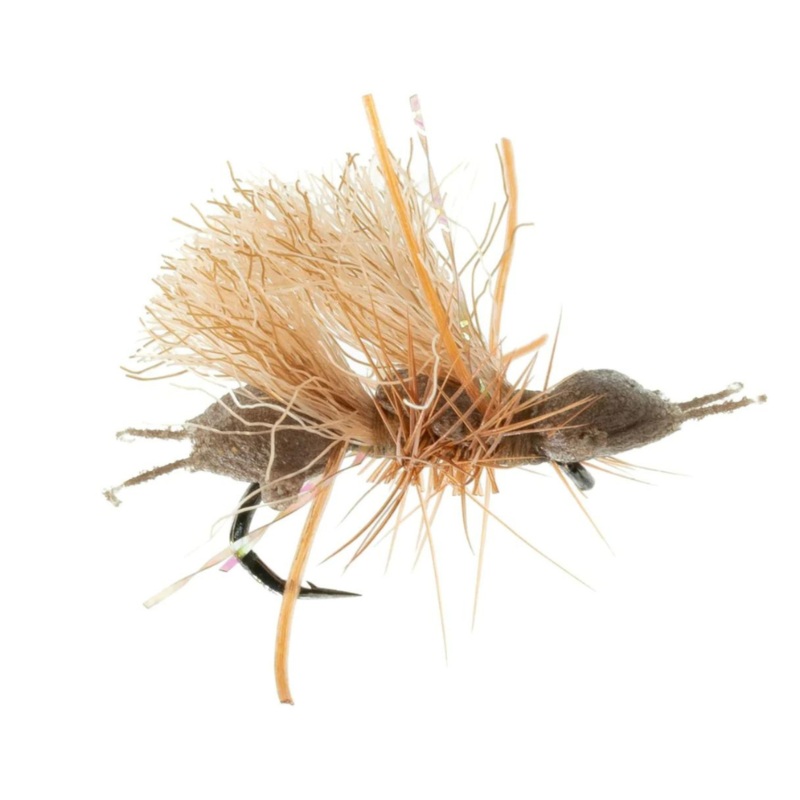 Chubby Cubby – Brown – Size 16