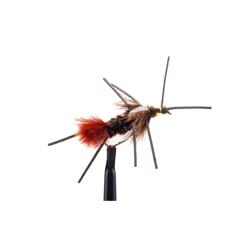 Delektable Bug Flashback Black Legs – Dark Chocolate – Size 8