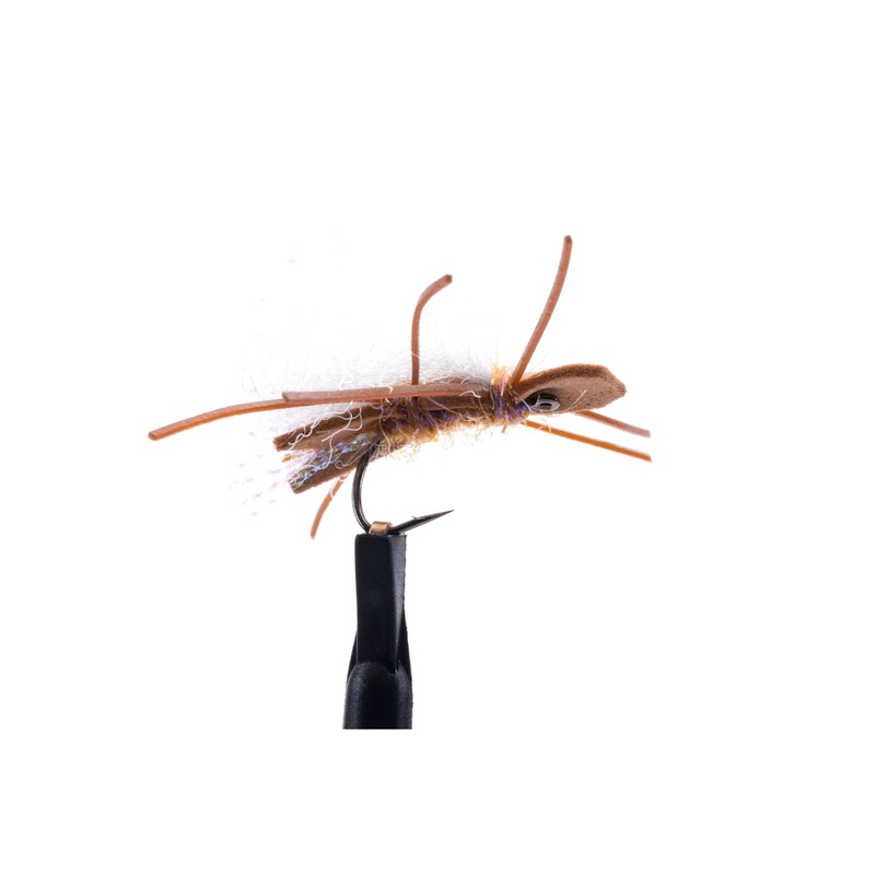 Delektable Lil’ Chubby – UV Cinnamon – Size 14