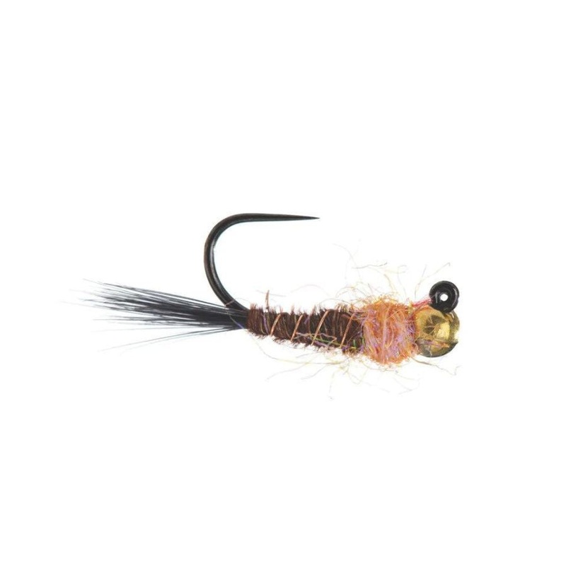 Egan’s Frenchie Jig|Size 14|Size 16