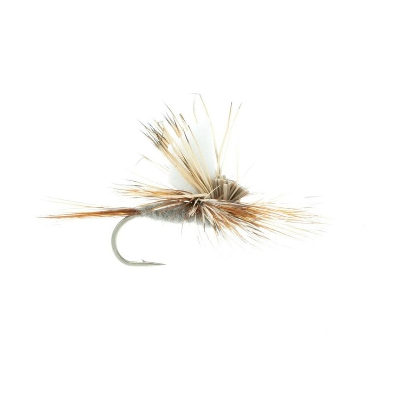 Majestic AF – Adams|Size 12|Size 14|Size 16