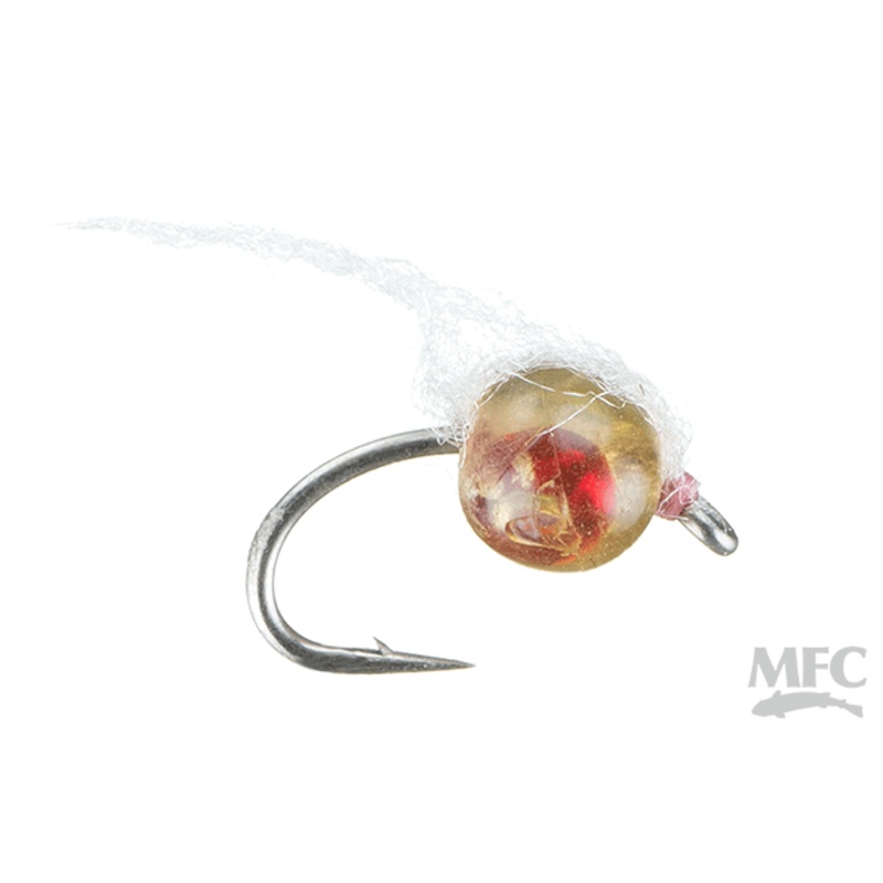 Otter’s Embryo Egg – Dead Egg – Size 12