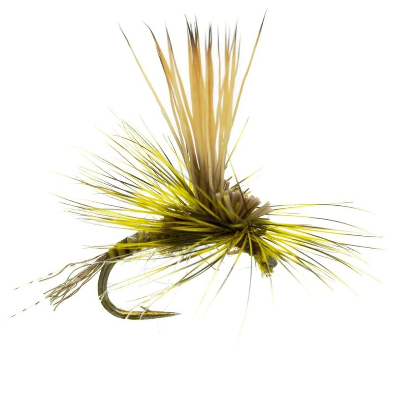 Stealth Link – BWO – Size 18|Size 18