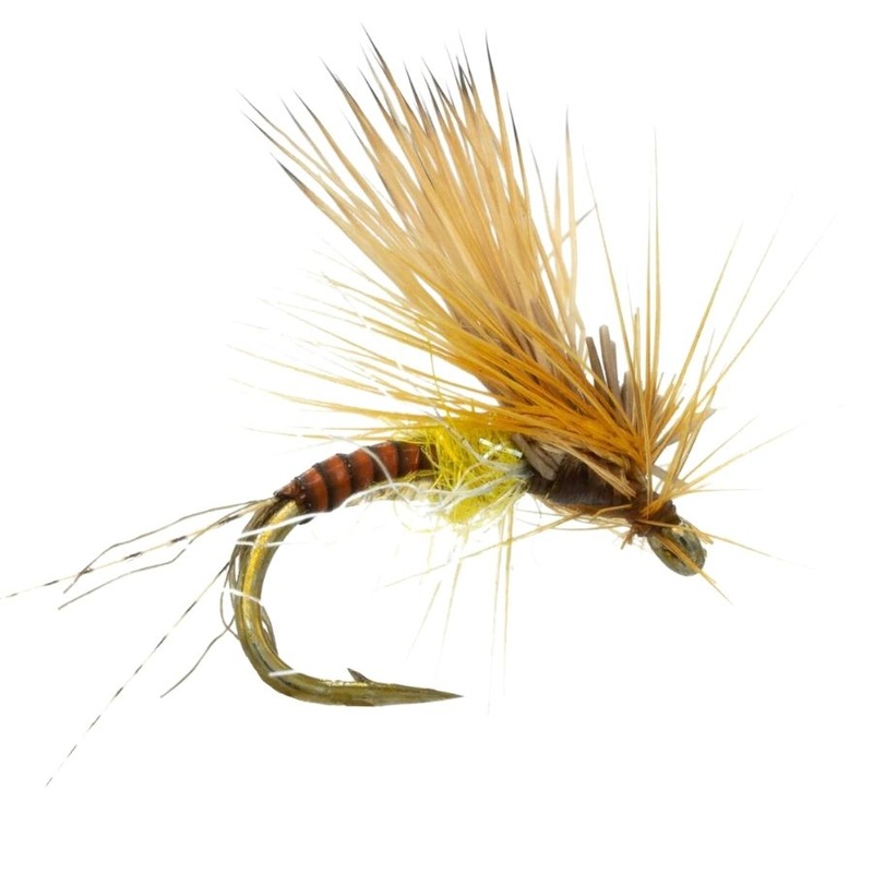 Stealth Link – PMD|Size 16|Size 18