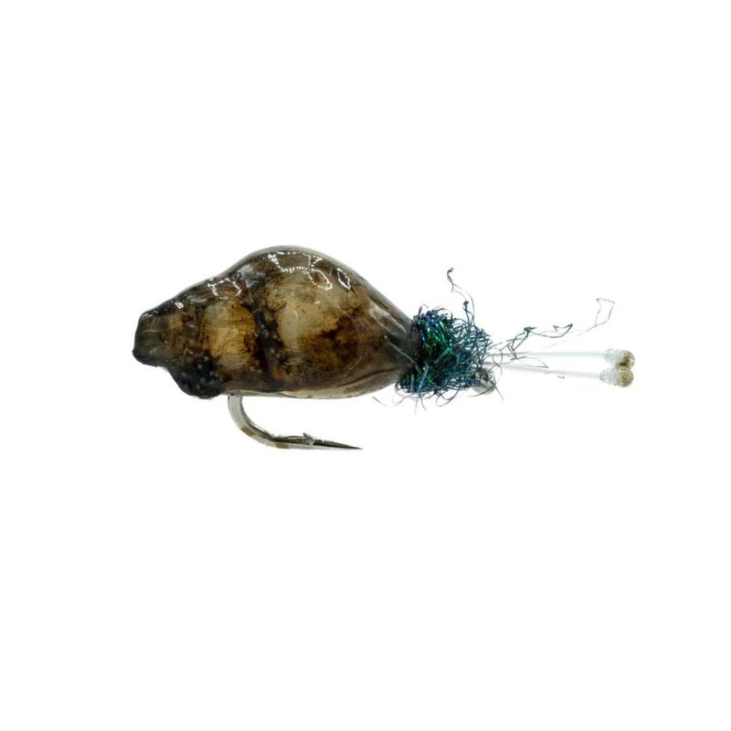 Znail – Size 12|Size 12