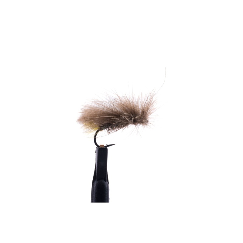 Corn-Fed Caddis – Peacock|Size 14|Size 16|Size 18