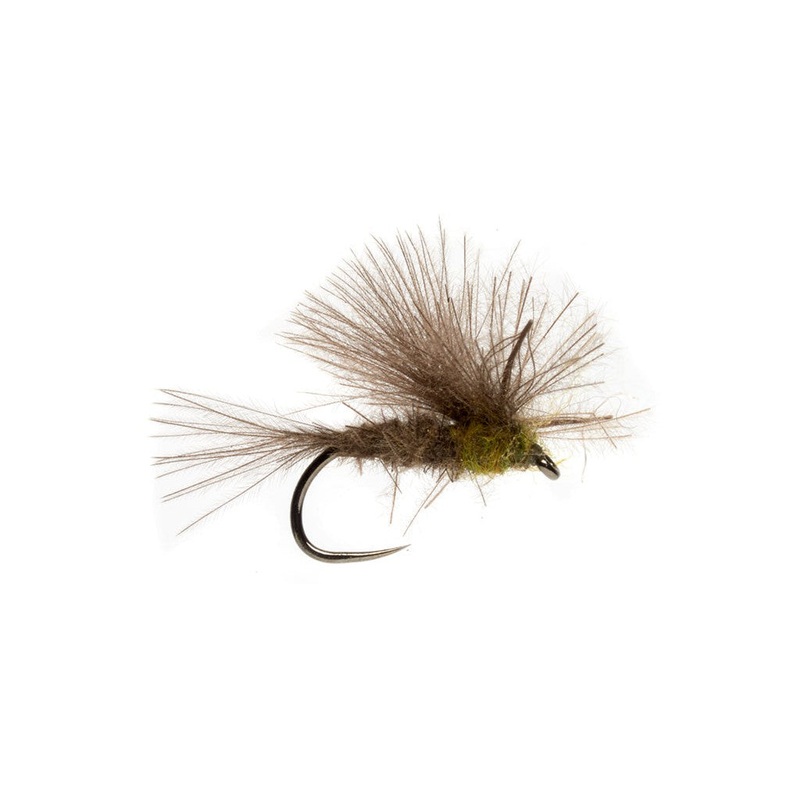 Elden’s CDC BWO Emerger – Size 18