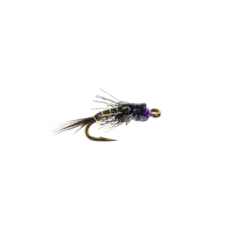 Radiation Baetis – Purple|Size 16|Size 18
