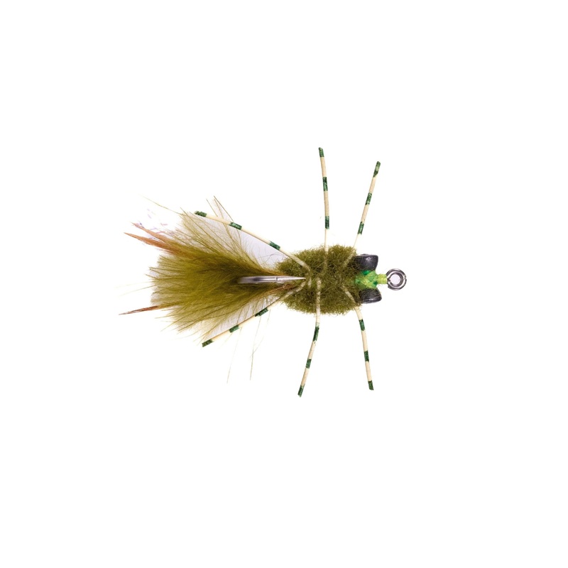 Rag Head Crab – Olive|Size 2|Size 4|Size 6