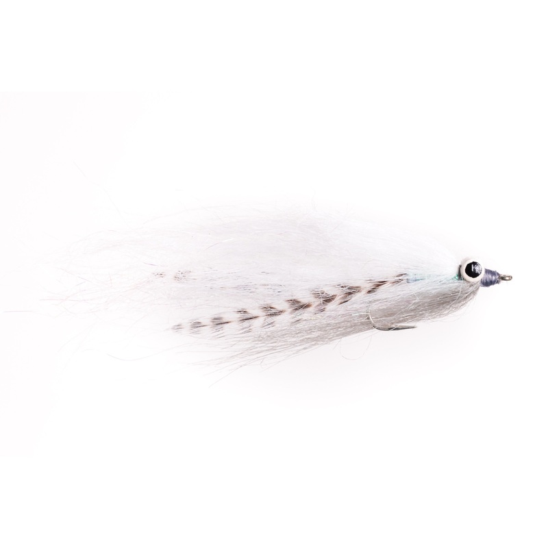 Stay Hungry – Shiner – Size 2|Size 2