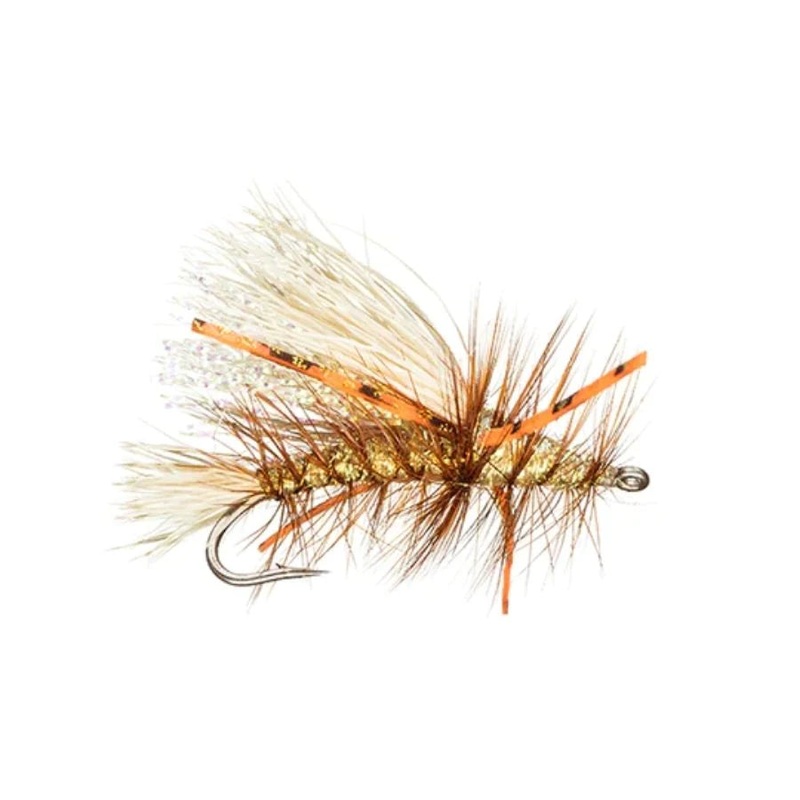 Crystal Stimi – Orange|Size 10|Size 12