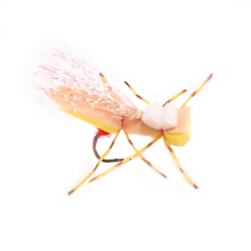 Dornan’s Micro Circus Sally – Size 14