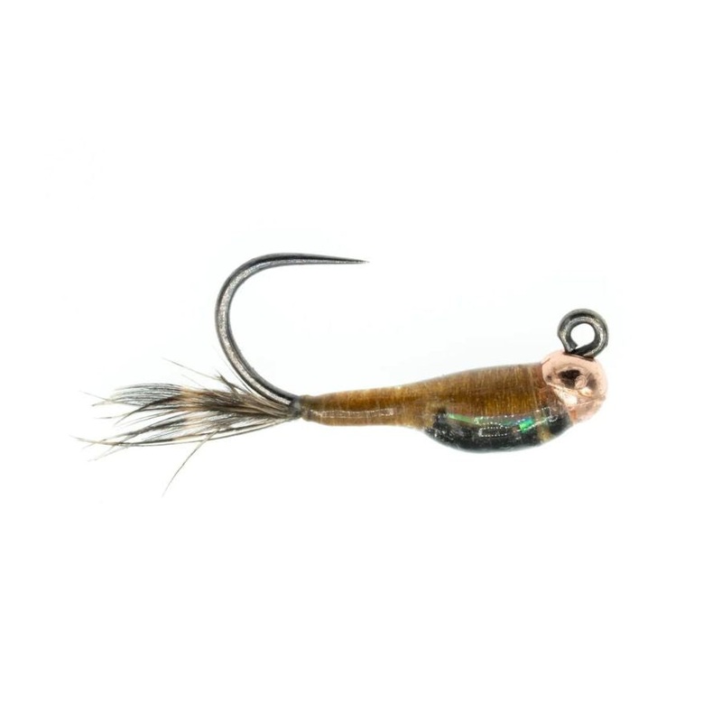 Jig Nation – Brown|Size 16|Size 18
