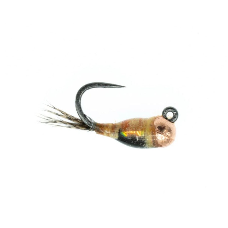 Jig Nation – PMD – Size 16|Size 16