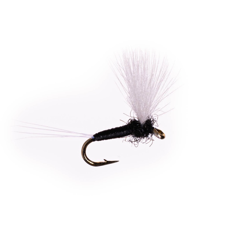 CDC Trico Spinner|Size 18|Size 20