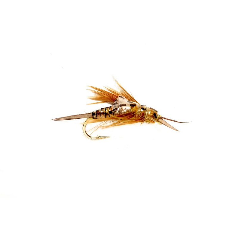 Golden OE Stonefly Nymph – Size 8