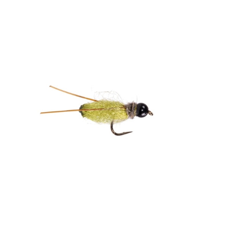 Praire Doggin Pupa – Olive|Size 14|Size 16