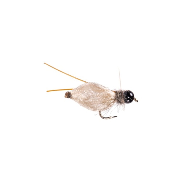 Praire Doggin Pupa – Tan|Size 14|Size 16