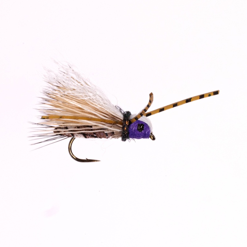 Twisted Baby – Purple|Size 14|Size 16