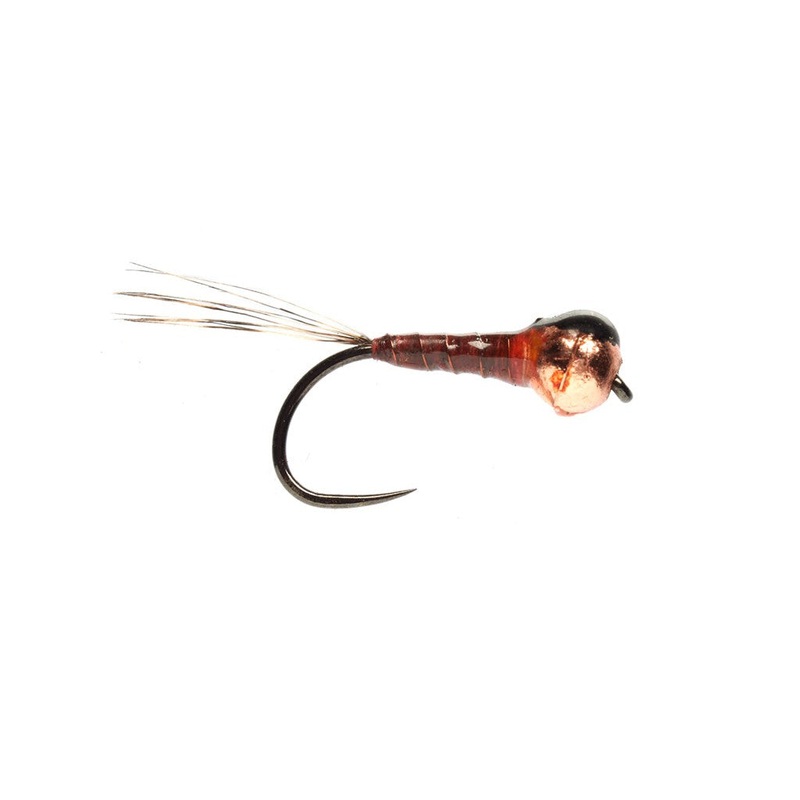 Weiss’ Firefly – Pink|Size 14|Size 16