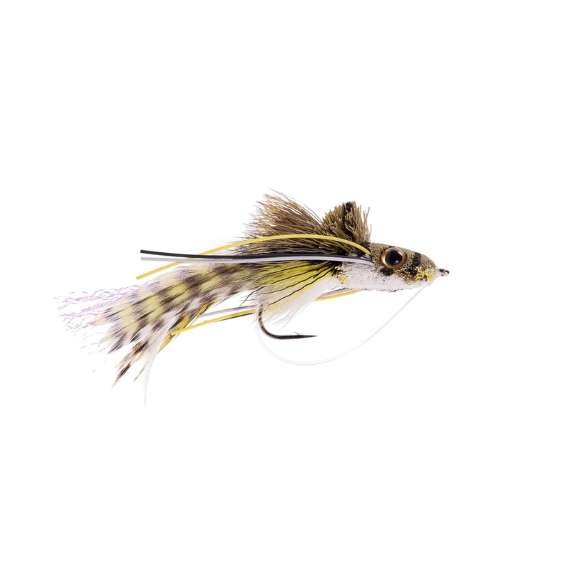 White Belly Umpqua Swimming Frog – Size 2