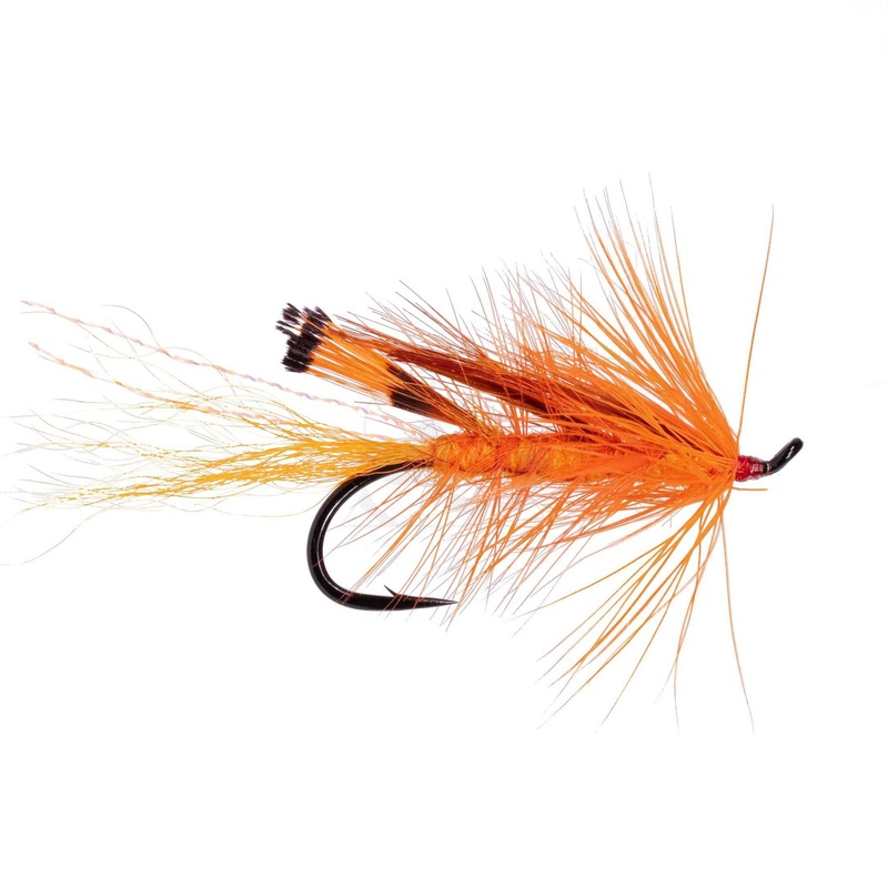 General Practioner – Size 1|Size 1