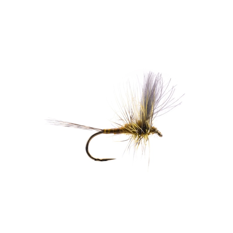 Green Drake CDC Thorax|Size 10|Size 12