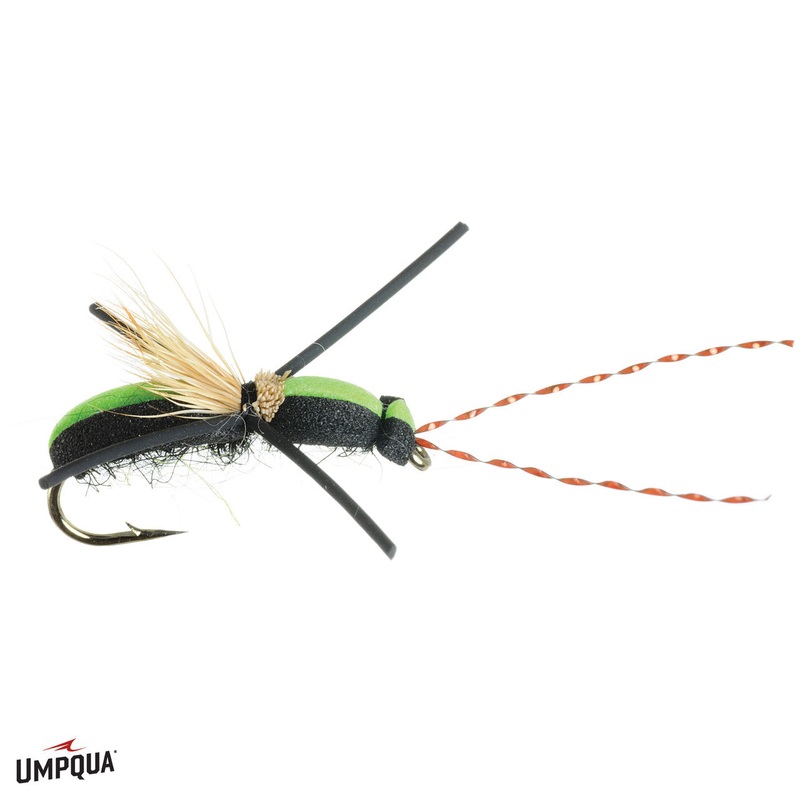 Longhorn Beetle – Size 10|Size 10