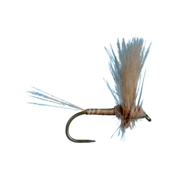 March Brown CDC Thorax|Size 10|Size 14