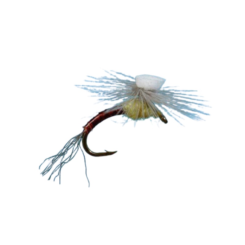 PMD Sprout|Size 16|Size 18