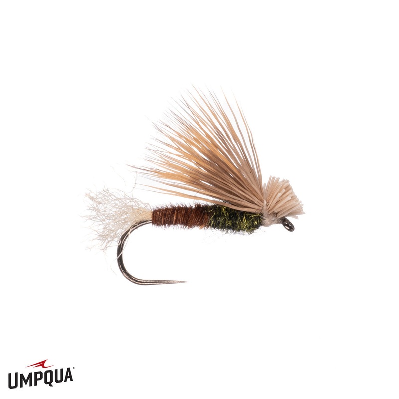 PT X Caddis Mathews – Olive|Size 14|Size 16|Size 18