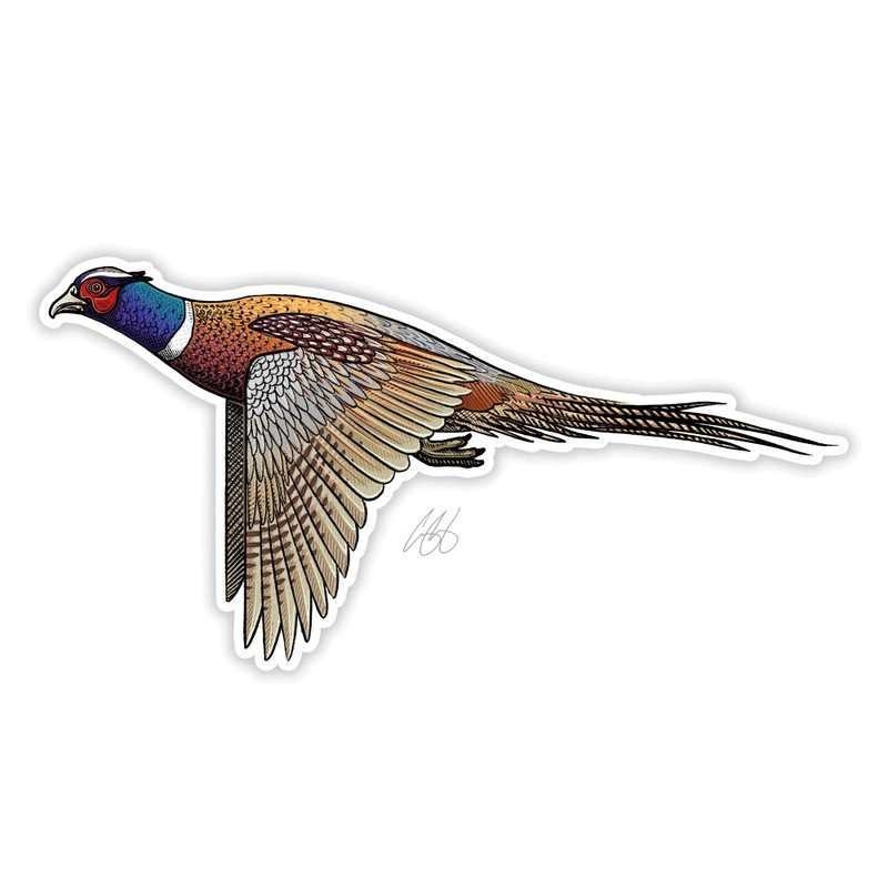 Underwood Ringneck Pheasant Sticker
