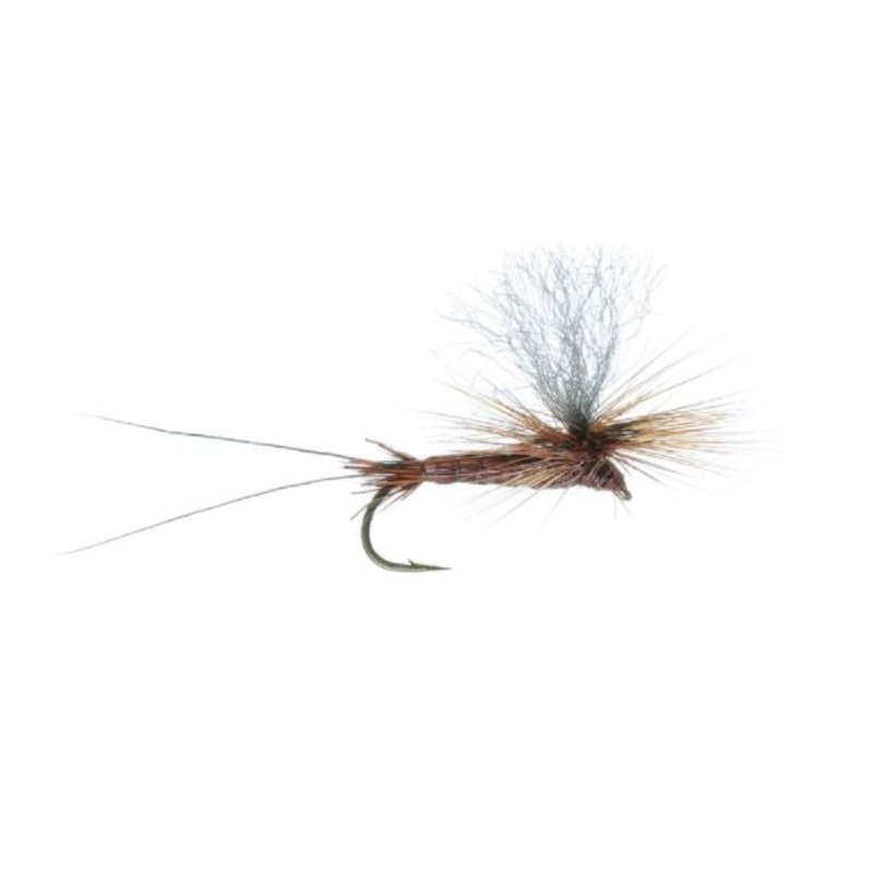 Bear’s Hi-Viz Brown Drake|10