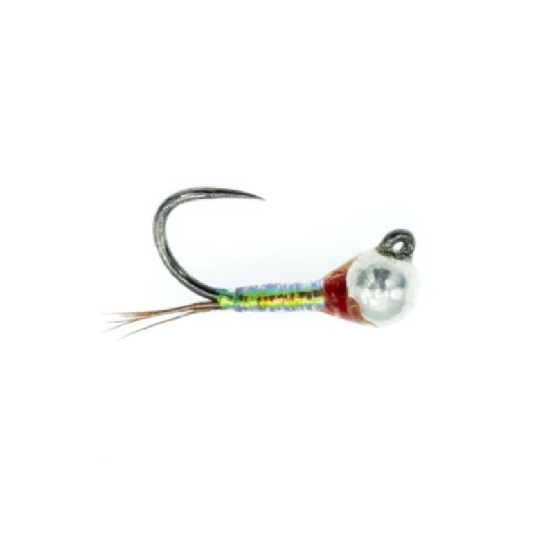 Egan’s Warrior Perdigon – Rainbow