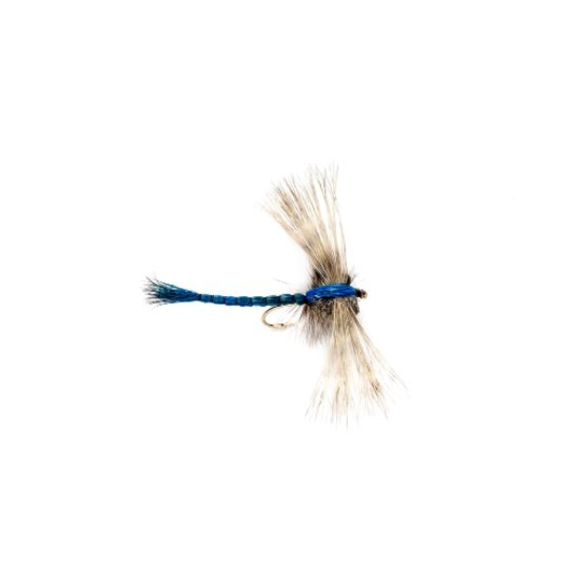 Gibson’s Dragon Fly|06|08|10