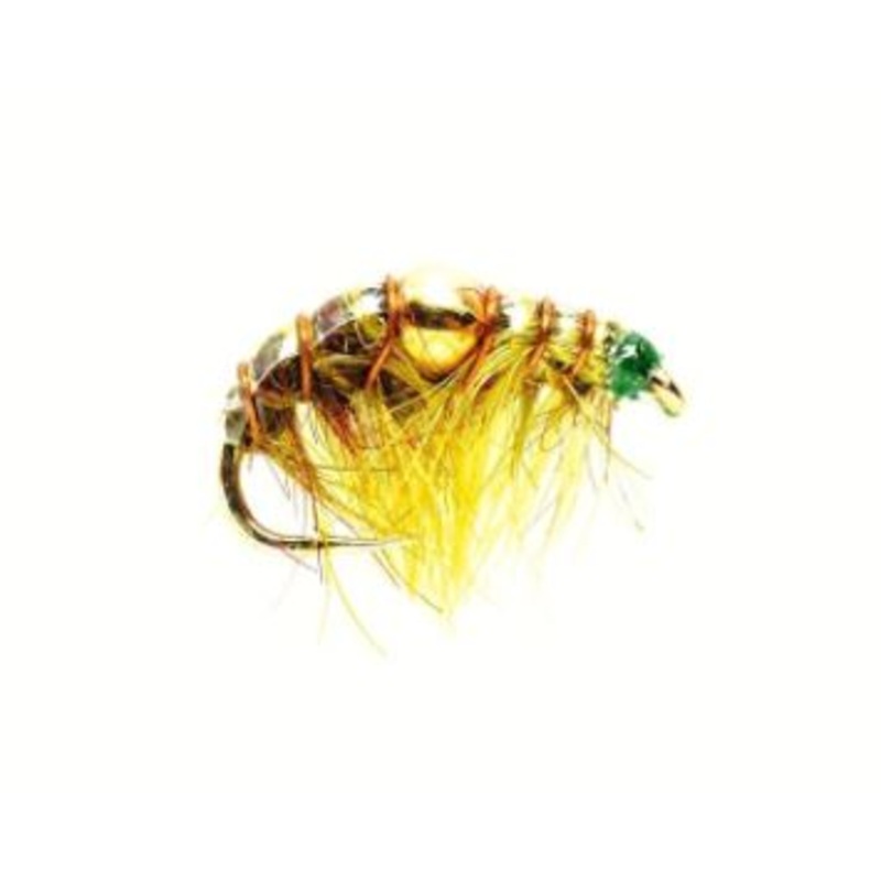 Golden Nugget Shrimp Olive|10|12|14
