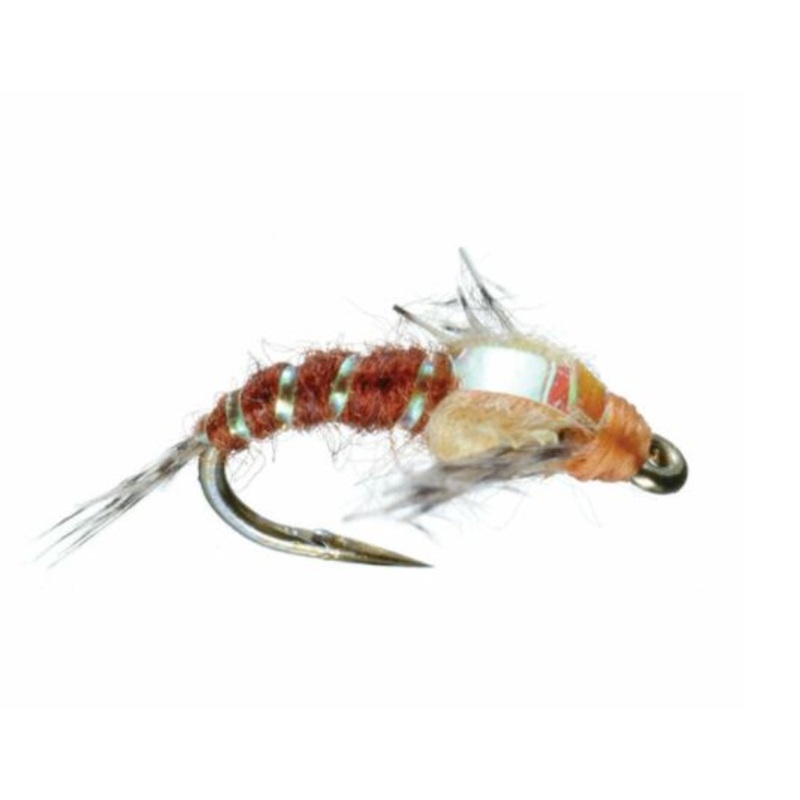 Hunchback Two-Tone – Sulfer/Brown