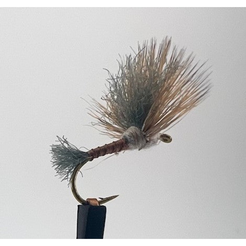 Improved Sparkle Dun – Gray Drake