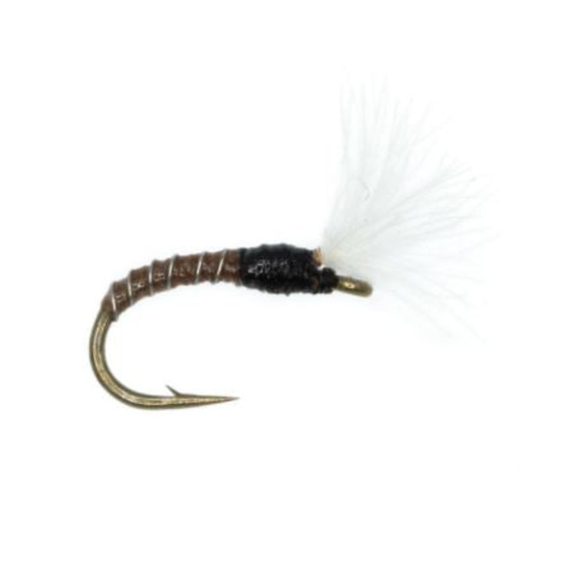 No Mercy Midge – Camel|18|20|22|24